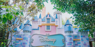 Top các địa điểm tham quan toàn Sydney